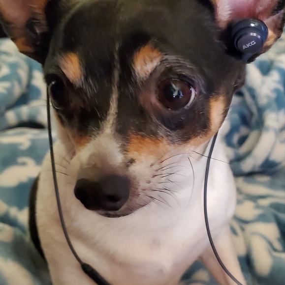 Meet your Posher, Tina - Picture 5 of 6